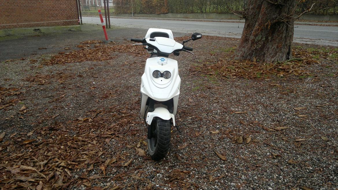 PGO hot 50 billede 2