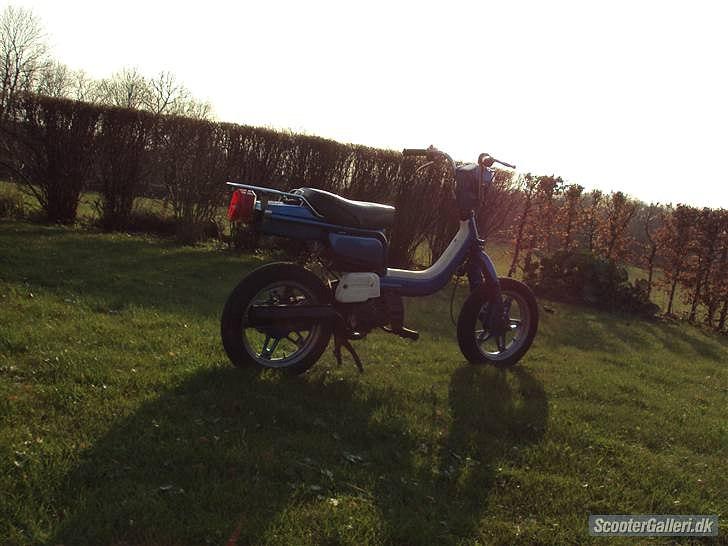 Suzuki FZ 50  billede 5