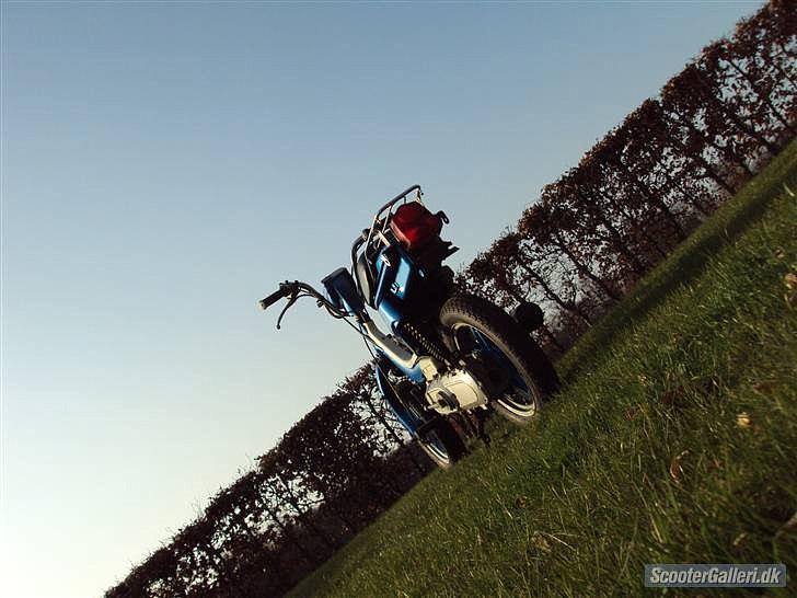 Suzuki FZ 50  billede 6