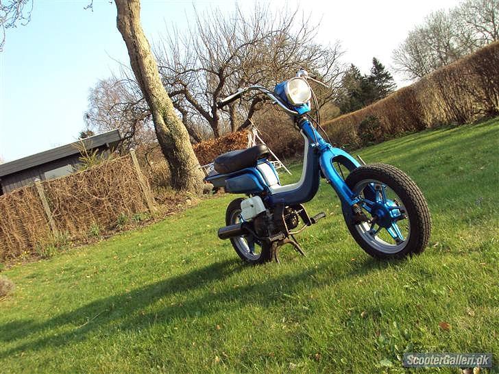 Suzuki FZ 50  billede 9