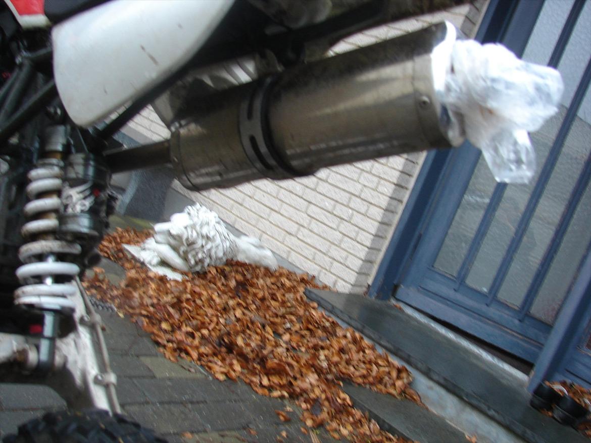 Pitpro pitbike minibike 125 cc olie kølet stjålet billede 16