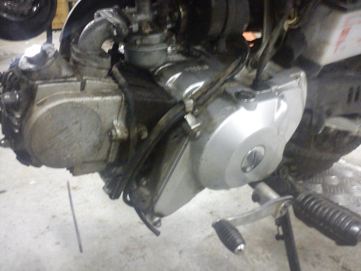 Skyteam Monkey billede 8