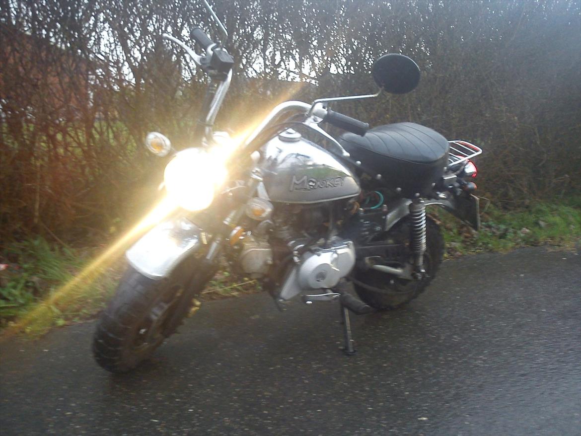 Skyteam Monkey billede 1