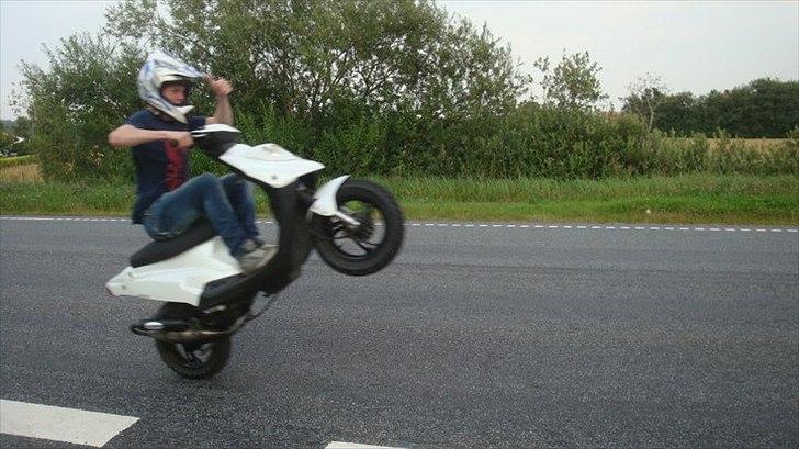 PGO Hot 50 billede 17