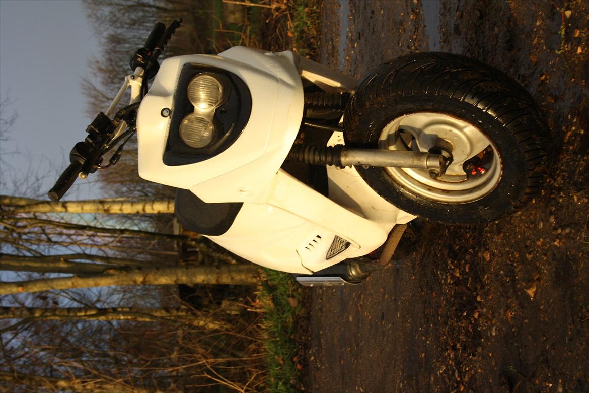 PGO Hot50 ''Sneprinsessen'' billede 5