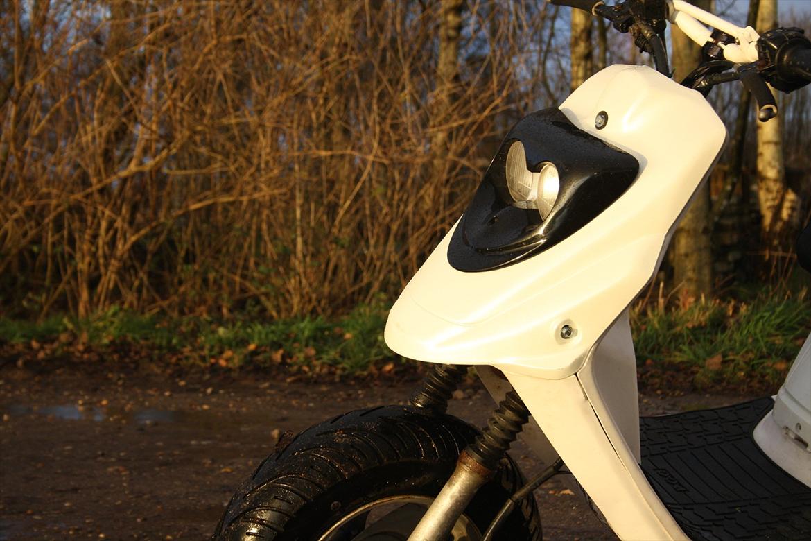 PGO Hot50 ''Sneprinsessen'' billede 7