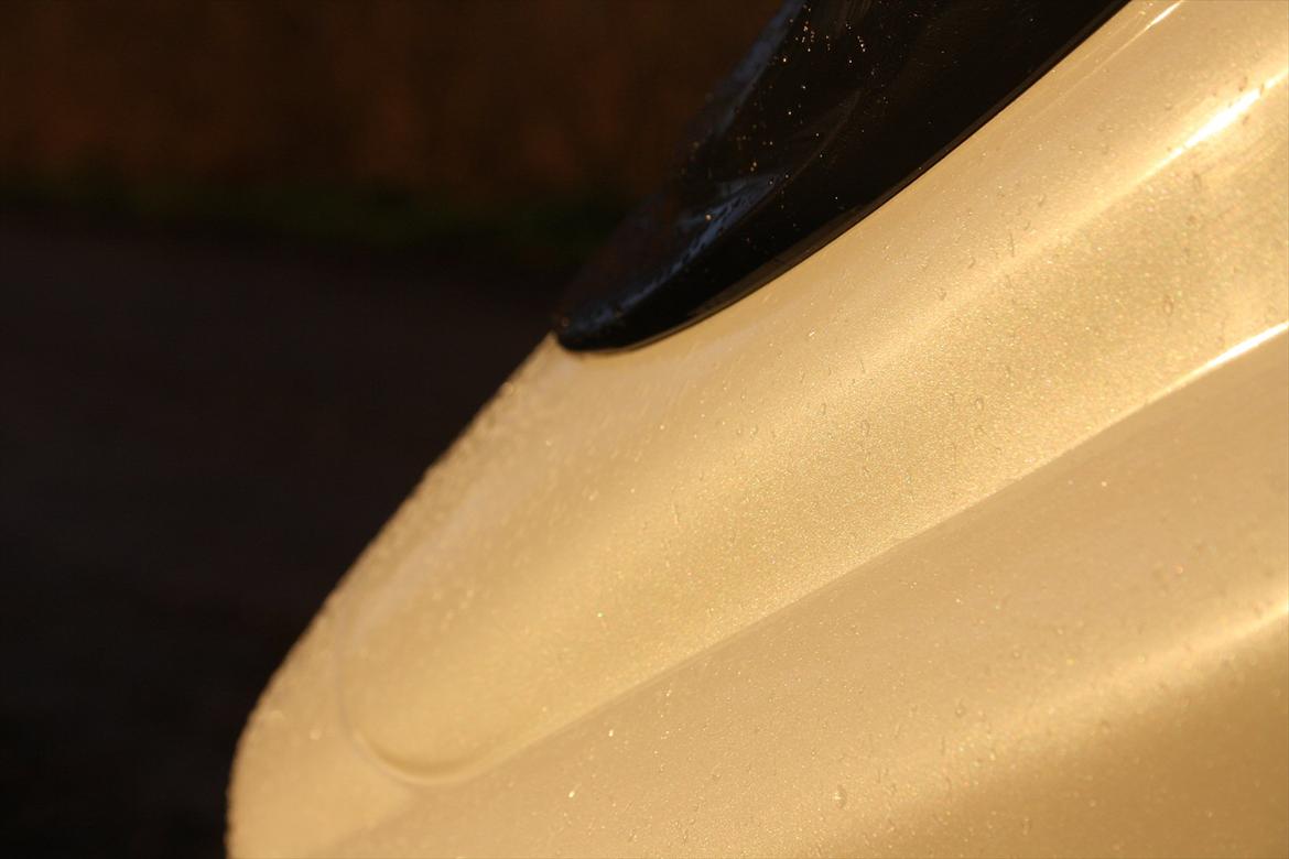 PGO Hot50 ''Sneprinsessen'' billede 10