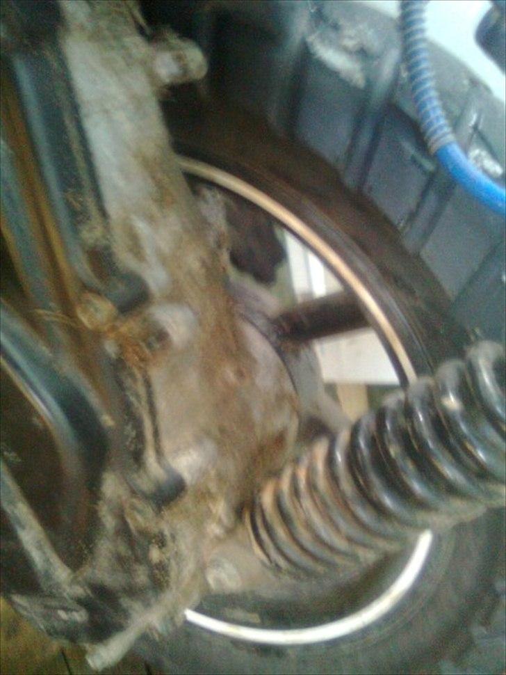 PGO Hot 50 - flot motor men den skulle dog glas males og laves lidt ulovlig  billede 10