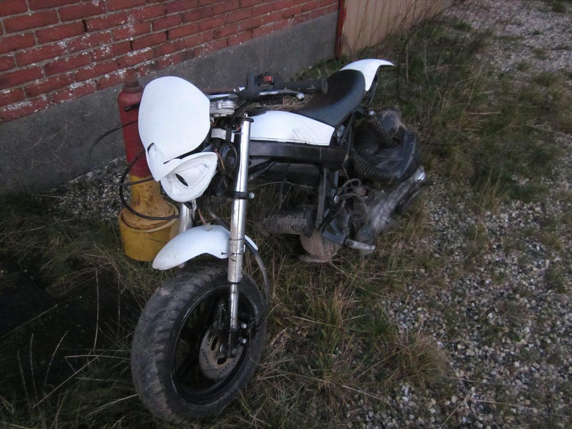 Suzuki street magic. 150cc pgo motor billede 11