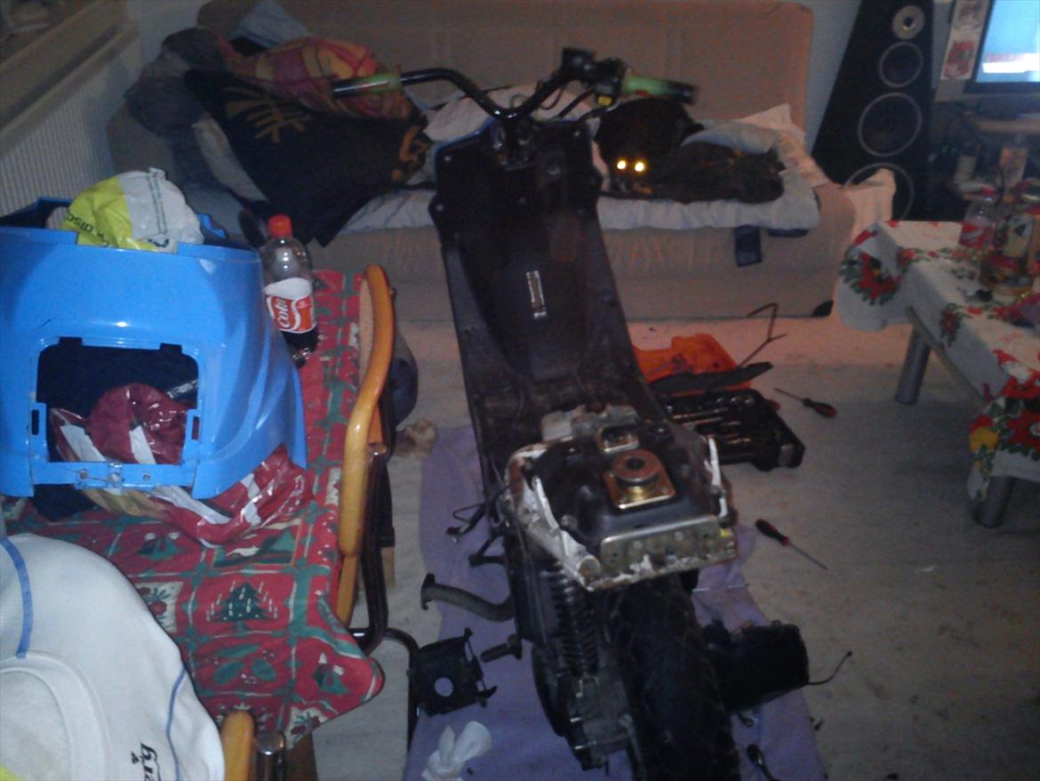 PGO hot 50 blå solgt billede 7