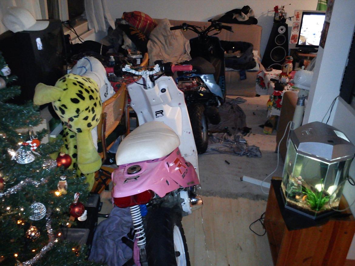 PGO hot 50 blå solgt billede 6