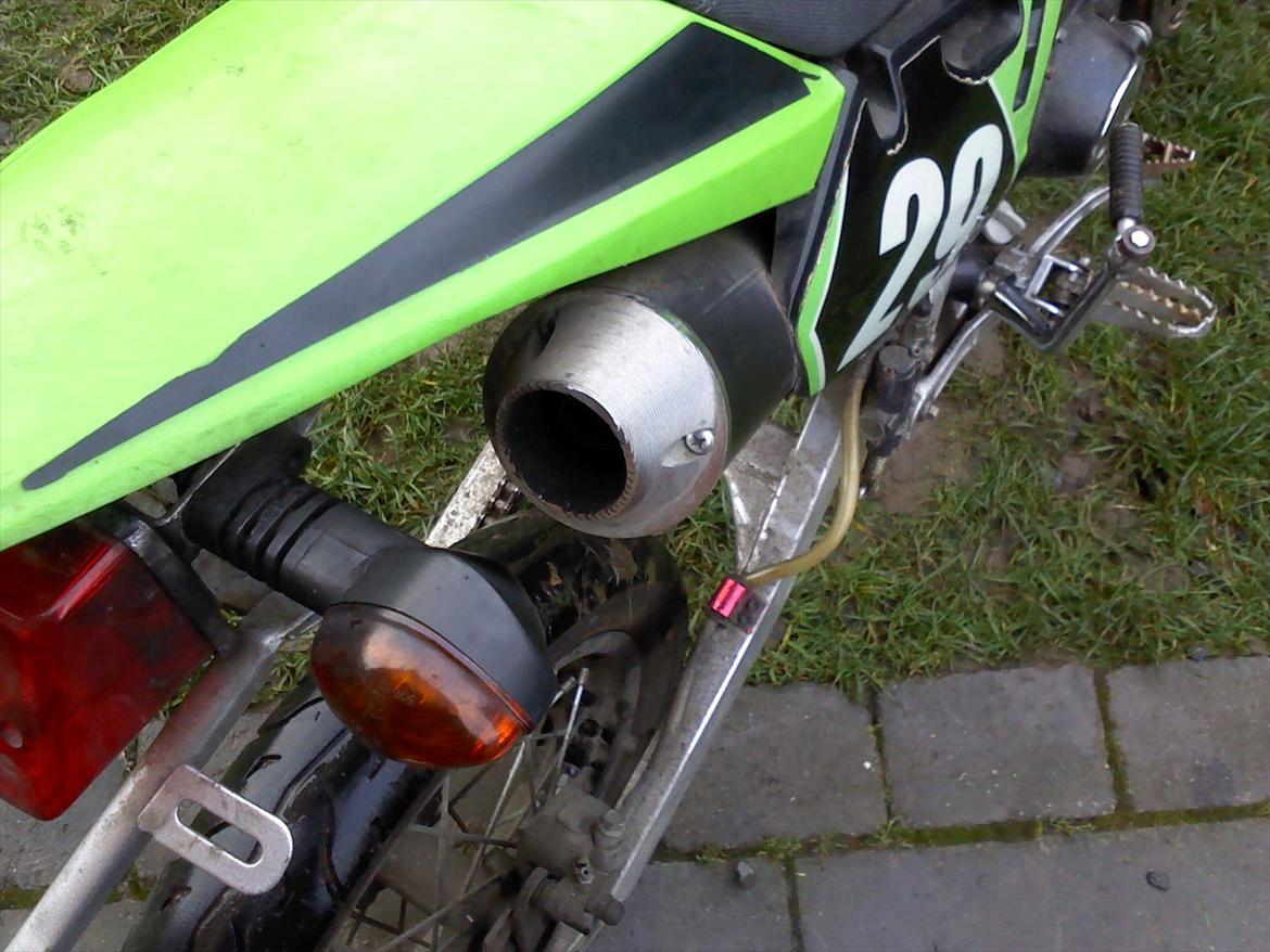 Apollo Orion   orion - fed pot billede 5