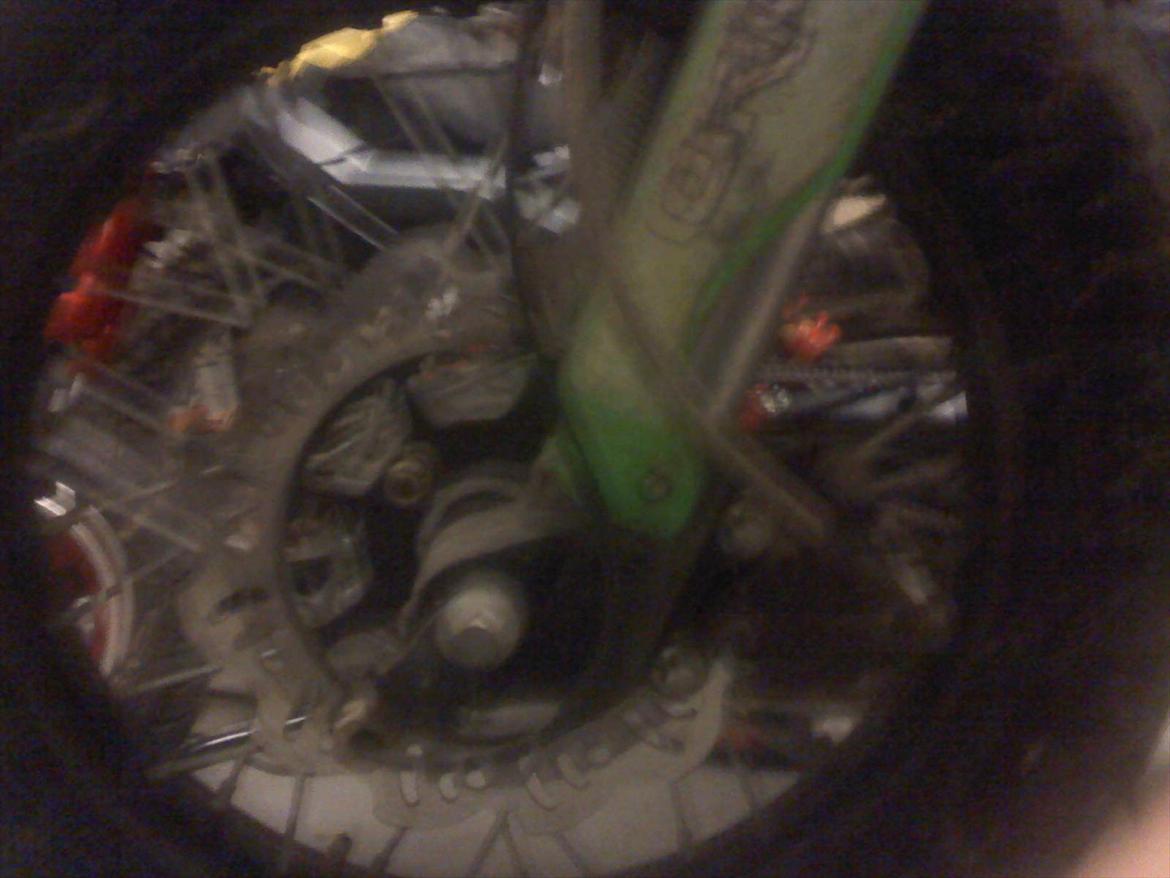 Apollo Orion   orion billede 12