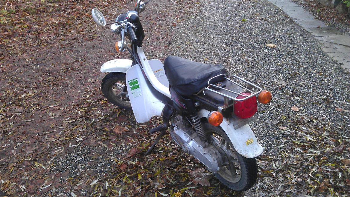 Suzuki Fz50 billede 2