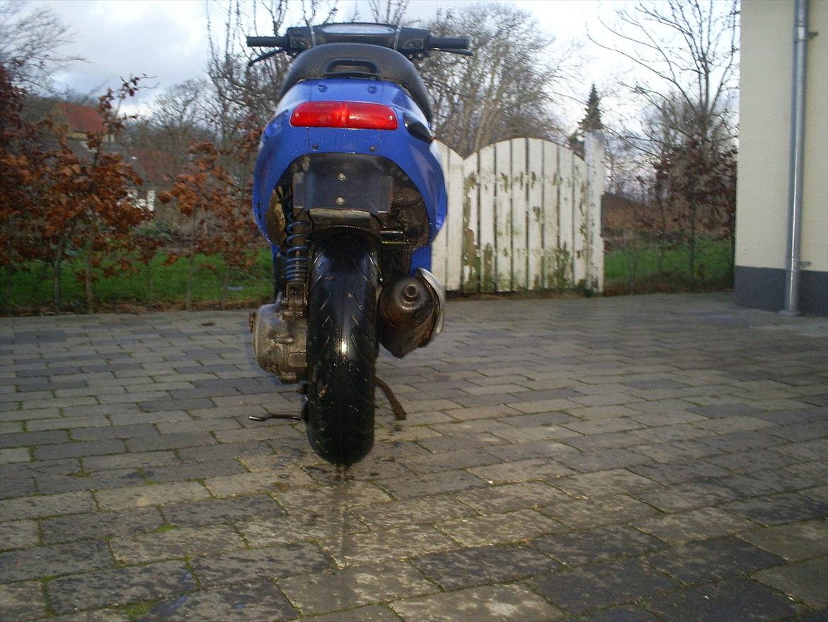 Piaggio Typhoon/nrg billede 3