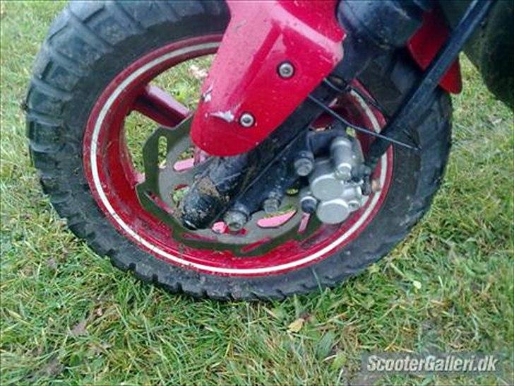 PGO Hot 50 billede 5