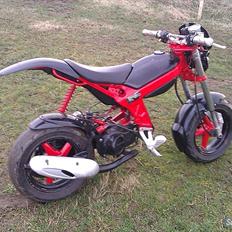 Suzuki Street Magic