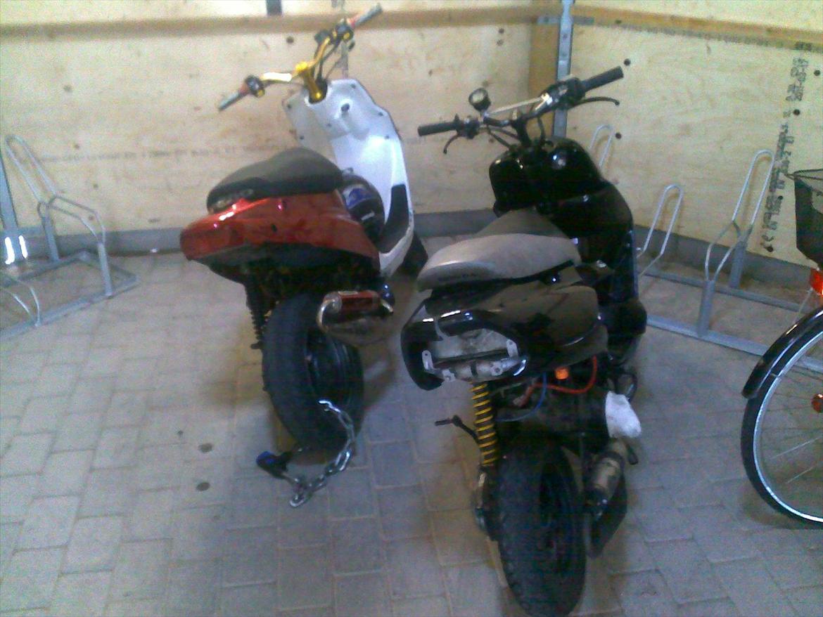 Honda SFX Knust i Atomer. :( R.I.P billede 14