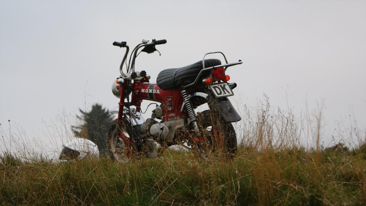 Honda Dax billede 1
