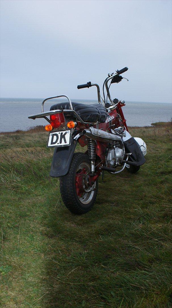 Honda Dax billede 7