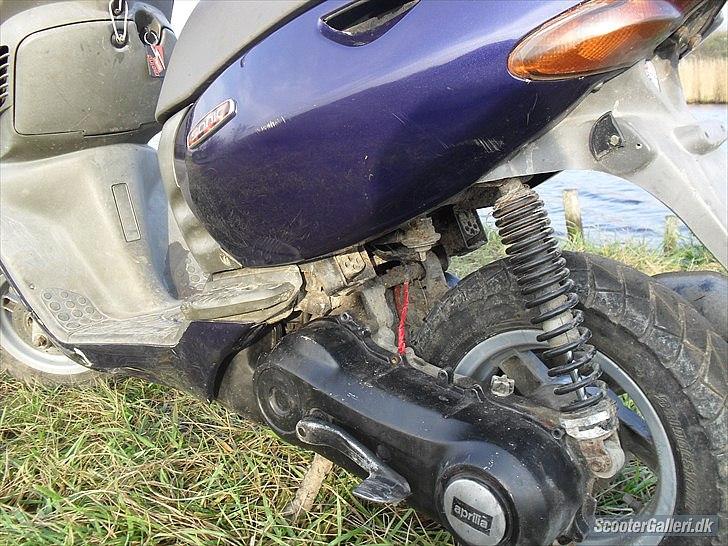 Aprilia Sonic billede 6