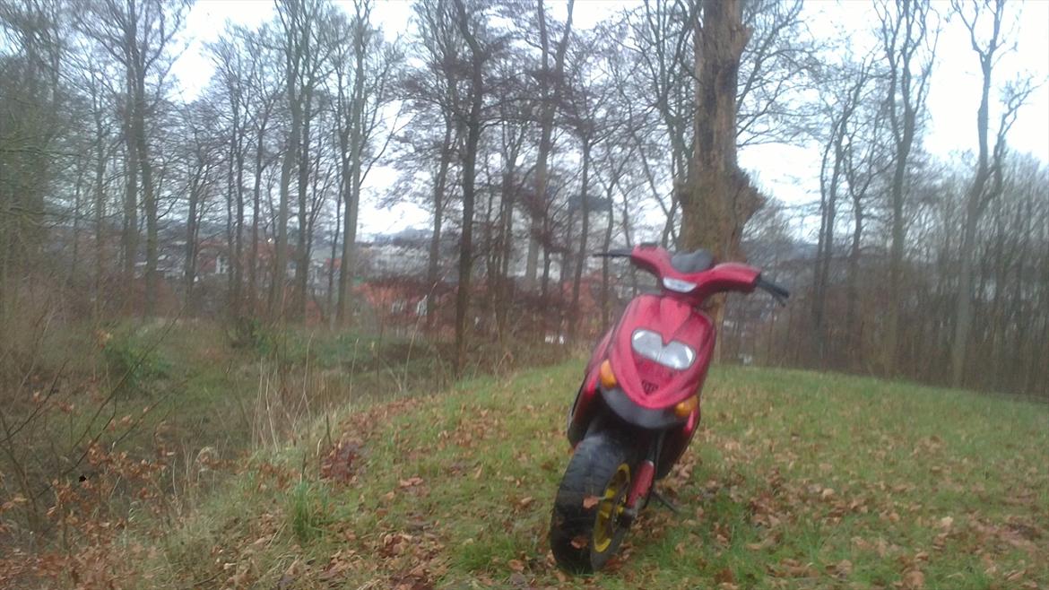 Gilera Stalker billede 3