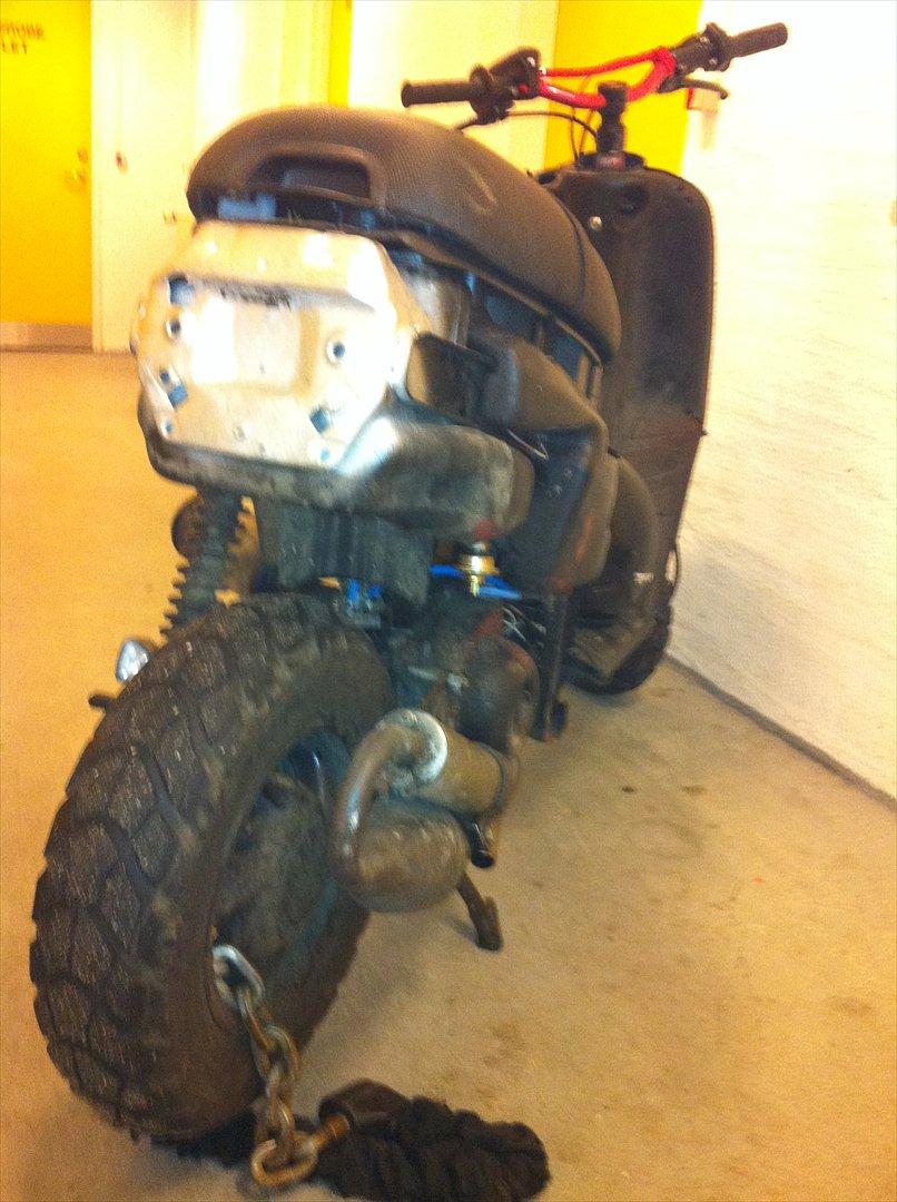 Piaggio  typhoon billede 4