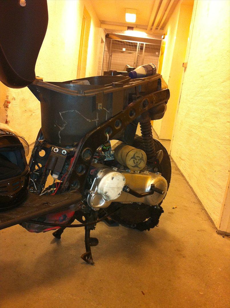 Piaggio  typhoon billede 7