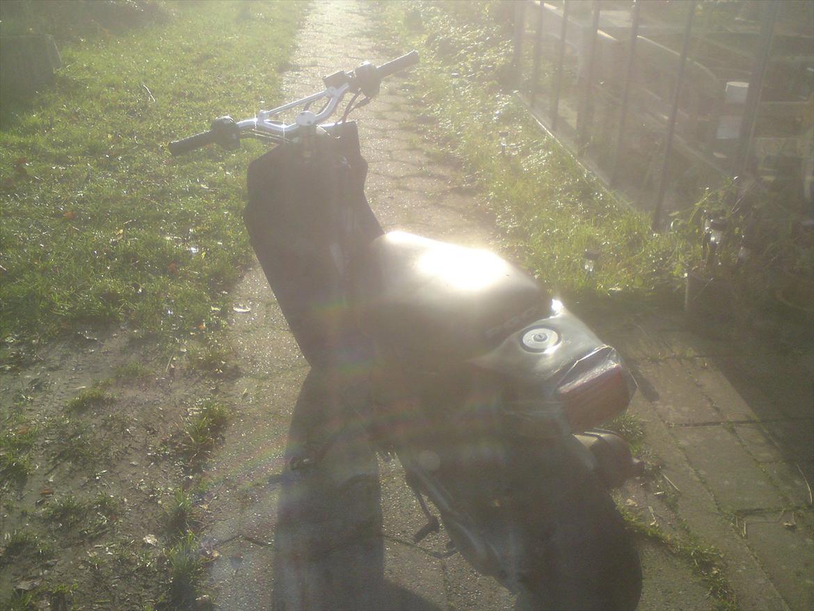 PGO Hot 50 (Sorte Mamba) billede 12