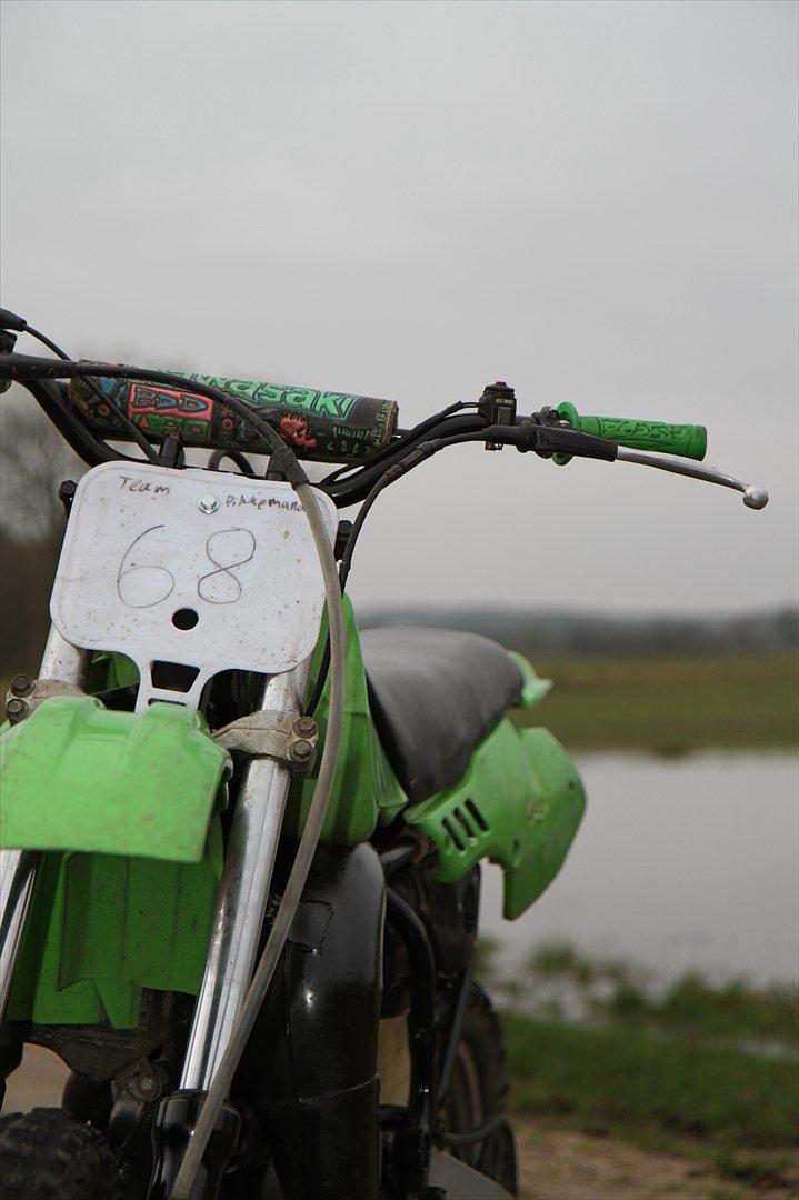 Kawasaki KX 80 billede 13