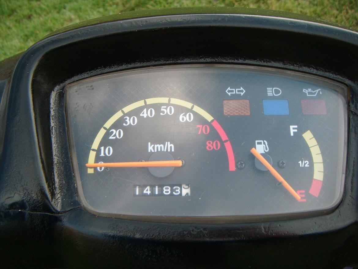 Adly silverfox ( solgt ) billede 6