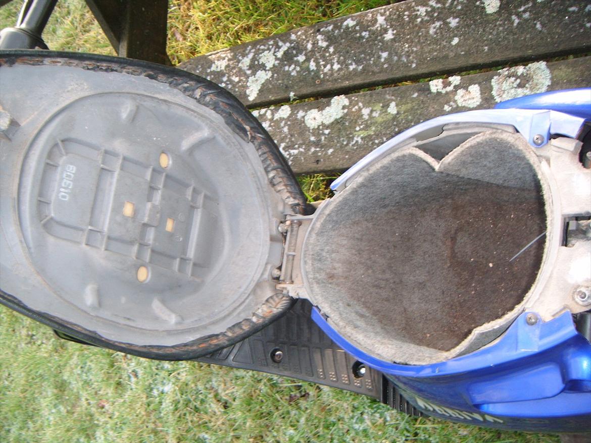 Adly silverfox ( solgt ) billede 7