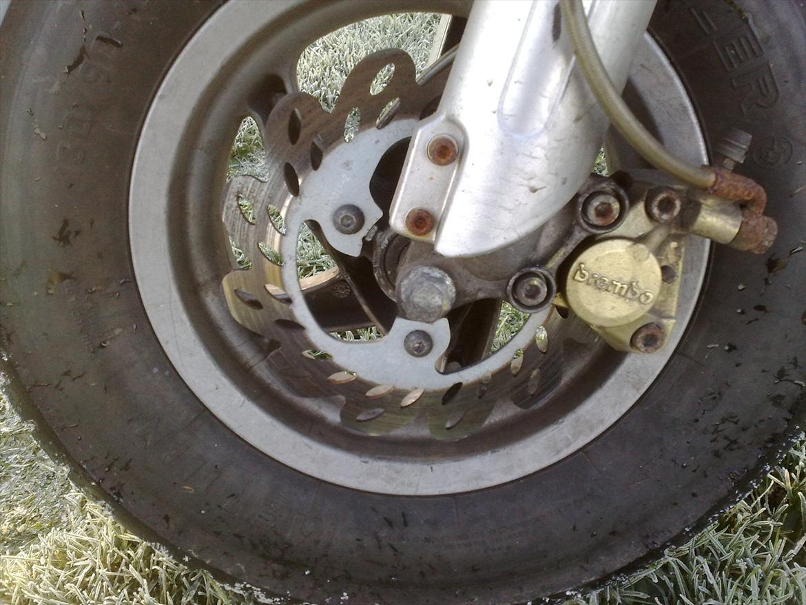 Piaggio Typhoon billede 8