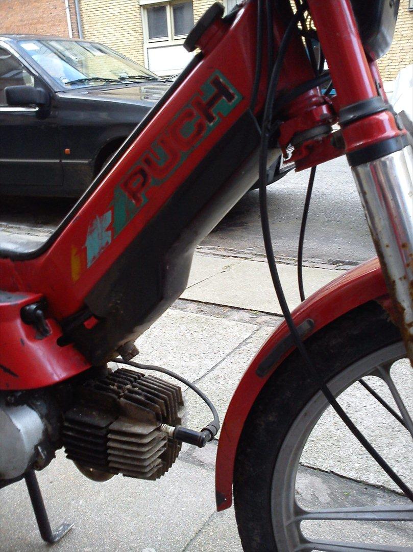 Puch Maxi P1 billede 14