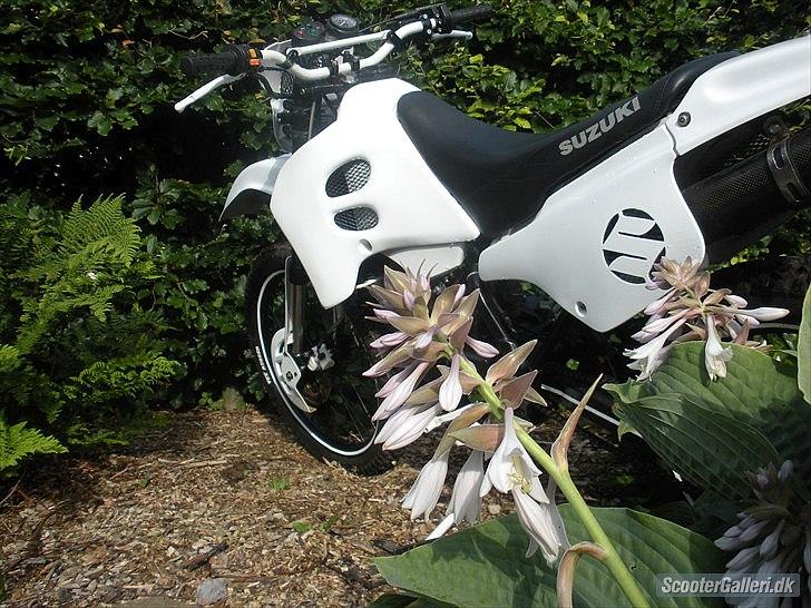 Suzuki RMX (SOLGT) billede 3