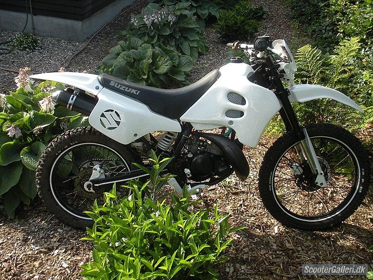 Suzuki RMX (SOLGT) billede 4