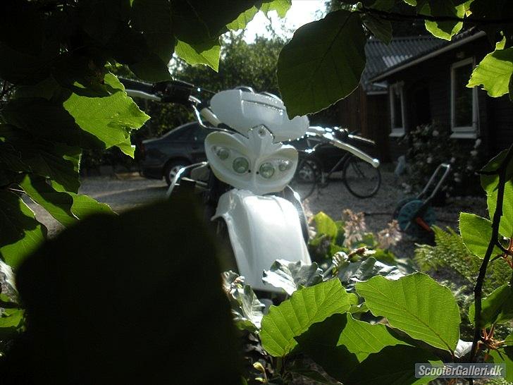 Suzuki RMX (SOLGT) billede 5