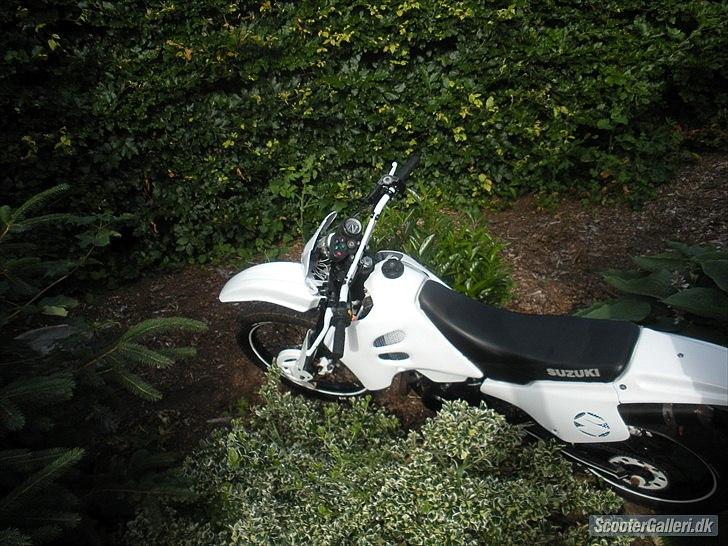 Suzuki RMX (SOLGT) billede 6