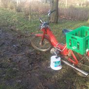 Puch maxi E50 (k model)