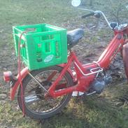 Puch maxi E50 (k model)