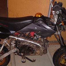Shineray Maxpro Motard