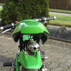 Kawasaki Ninja pocketbike
