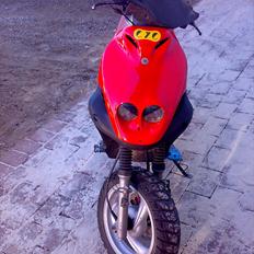 PGO pmx