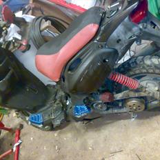 PGO pmx