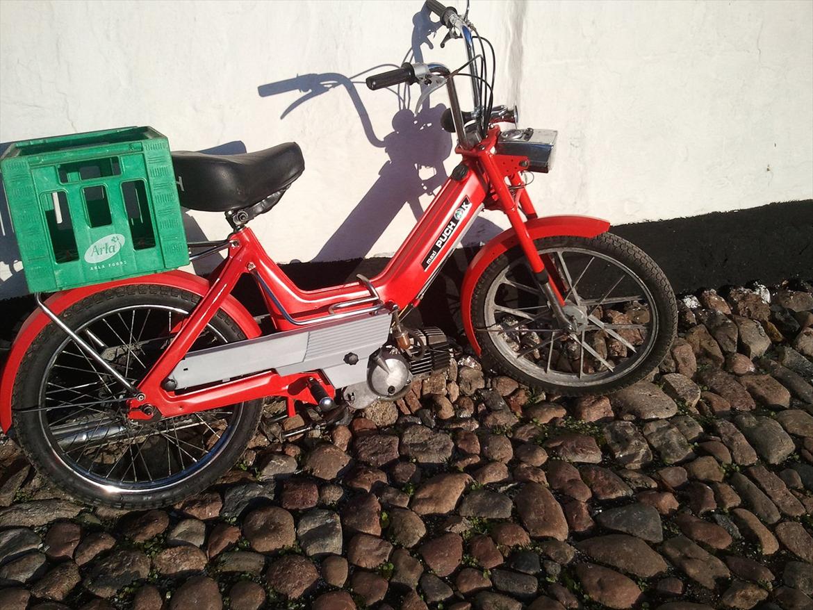 Puch Maxi P billede 10