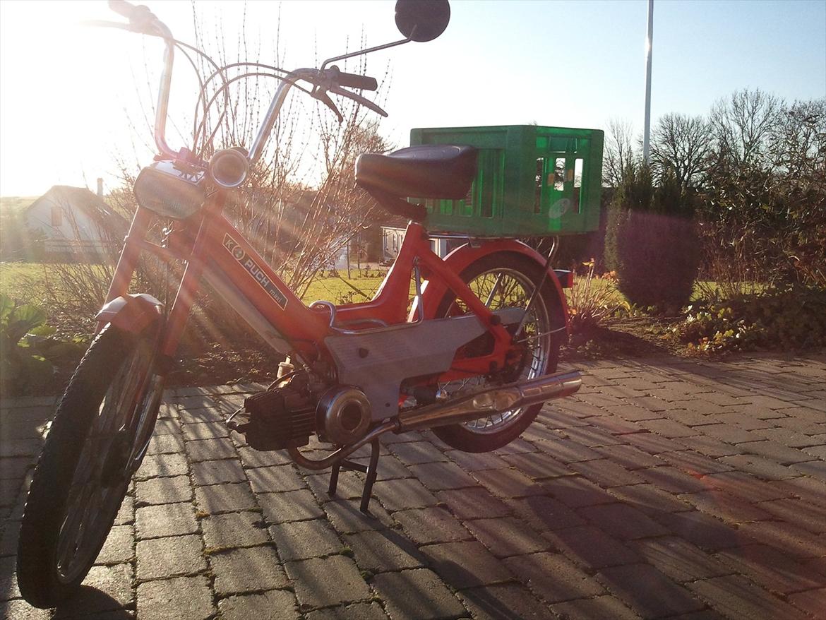 Puch Maxi P billede 14