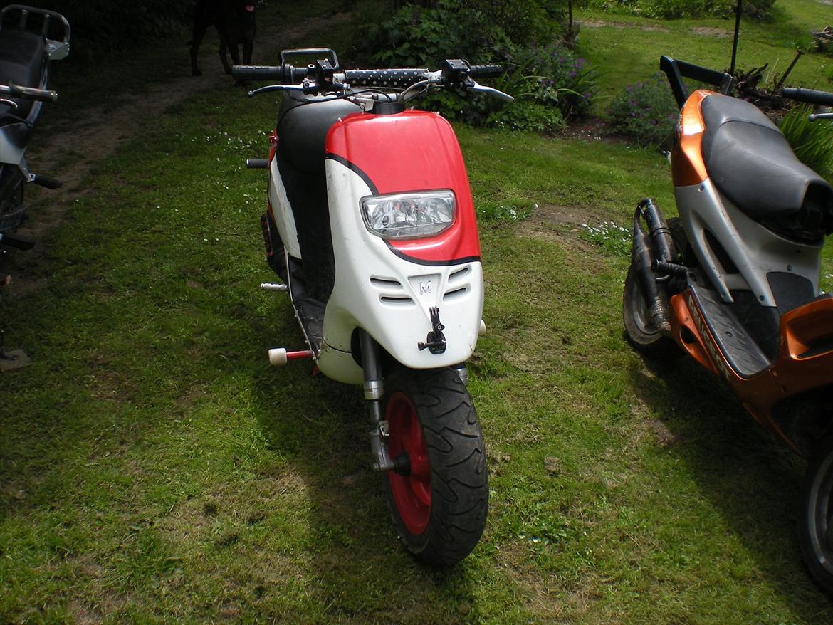 Piaggio Typhoon stuntbike billede 11