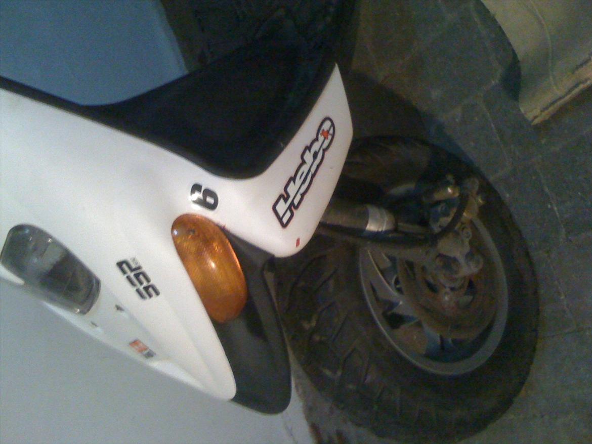 Gilera Stalker bygget om til bane - gamle billeder billede 3