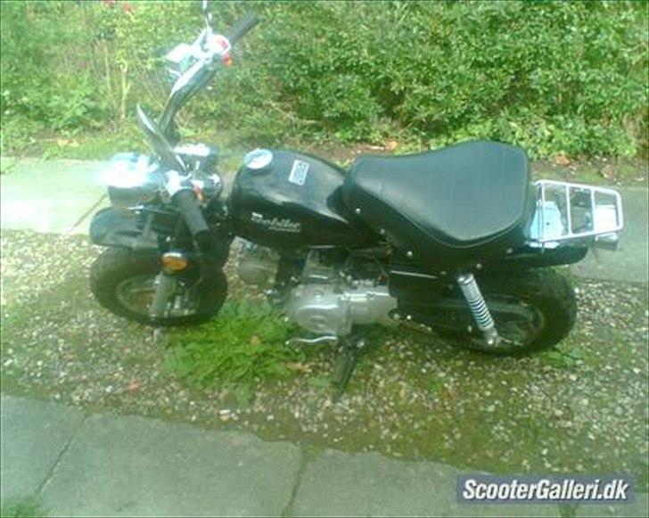 Lifan MKS ECO City Monkey Z 50 J billede 13