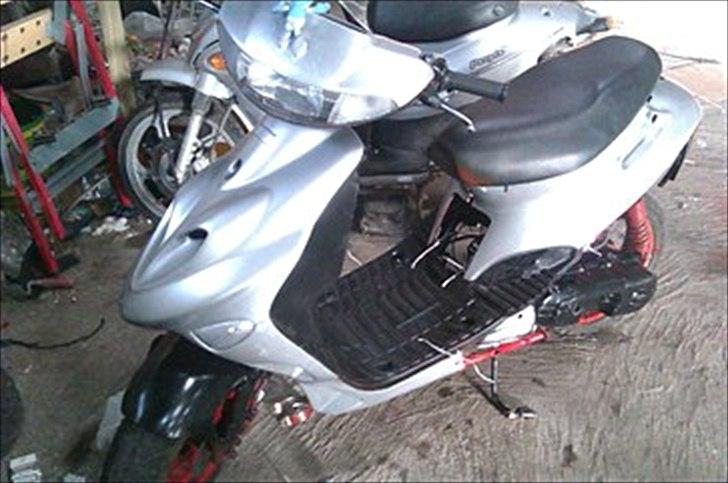 Adly Silverfox billede 3